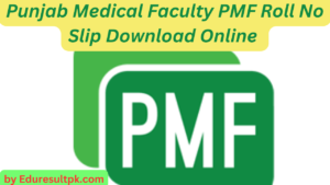 Punjab Medical Faculty PMF Roll No Slip 2023 Download Online 