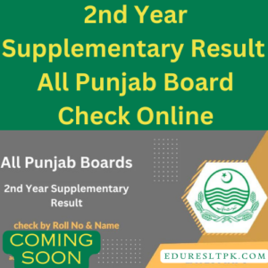 2nd Year Supplementary Result 2023 All Punjab Board Check Online