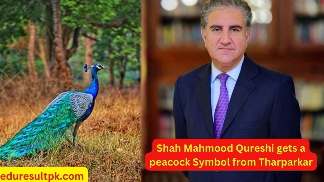 Shah Mahmood Qureshi gets a peacock Symbol from Tharparkar